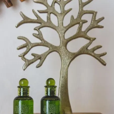 Dp Homes Paros * Angairiá