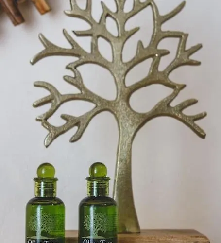 Dp Homes Paros * Angairia